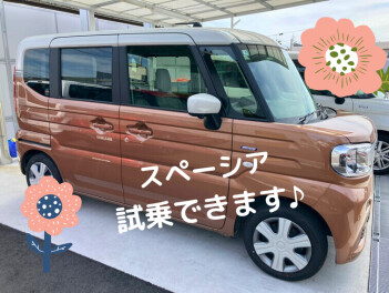 新しい試乗車です♪